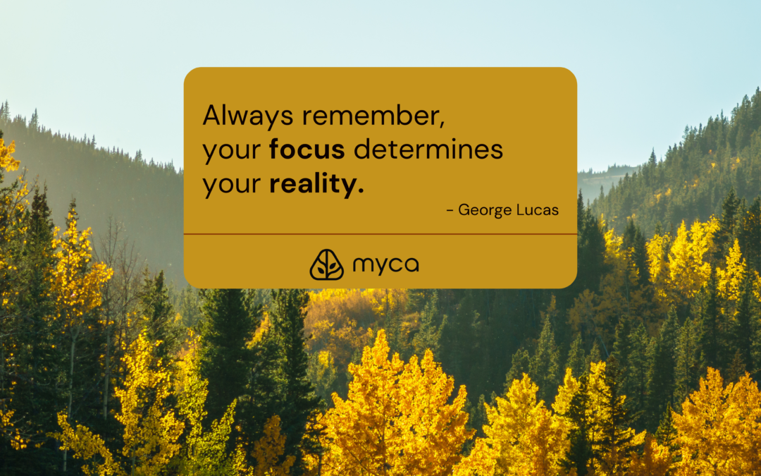 The Power of Two Modes: Plan vs. Focus