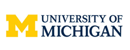 university university
